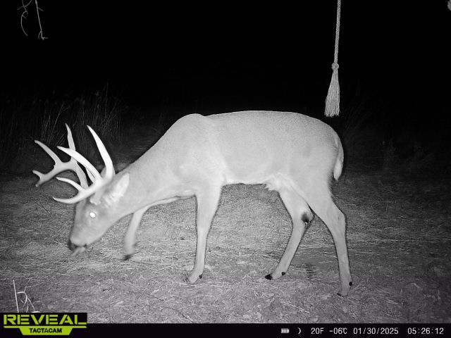 Listing Photo: d28